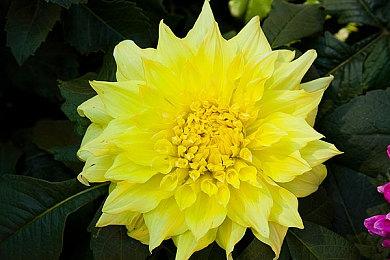 临时工失误？《破晓传说》或即将加入XGP